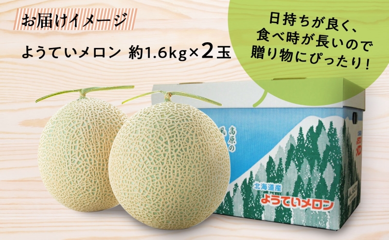 北海道 赤肉メロン 約1.6kg 2玉 メロン 赤肉 果物 フルーツ 甘い 完熟 スイーツ デザート 産直 国産 贈答品 お祝い ギフト羊蹄山 JAようてい 送料無料 北海道 倶知安町