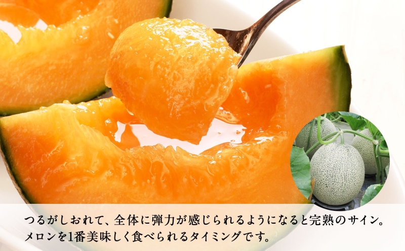 北海道 赤肉メロン 大玉 約2kg 2玉 メロン 赤肉 果物 フルーツ 甘い