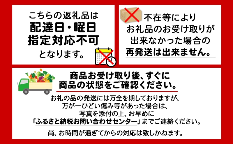 北海道 赤肉メロン 約1.6kg 2玉 メロン 赤肉 果物 フルーツ 甘い 完熟 スイーツ デザート 産直 国産 贈答品 お祝い ギフト羊蹄山 JAようてい 送料無料 北海道 倶知安町