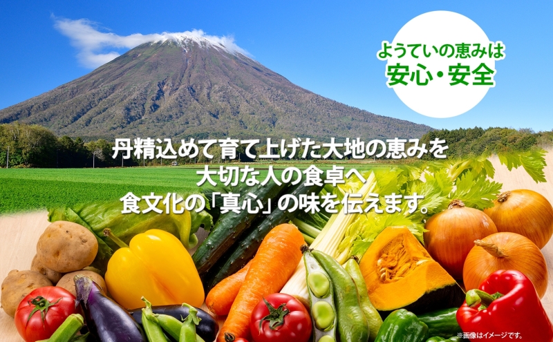 北海道 赤肉メロン 約1.6kg 2玉 メロン 赤肉 果物 フルーツ 甘い 完熟 スイーツ デザート 産直 国産 贈答品 お祝い ギフト羊蹄山 JAようてい 送料無料 北海道 倶知安町