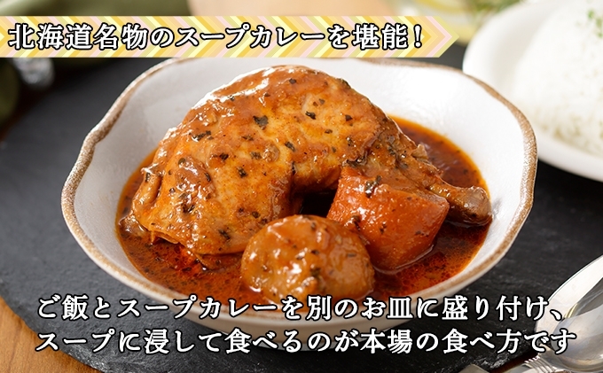 無地熨斗 倶知安 チキンレッグスープカレー 計10個 中辛 北海道 レトルト食品 チキン カレー スープカレー 野菜 じゃがいも 鶏 レトルト カレー お取り寄せ 