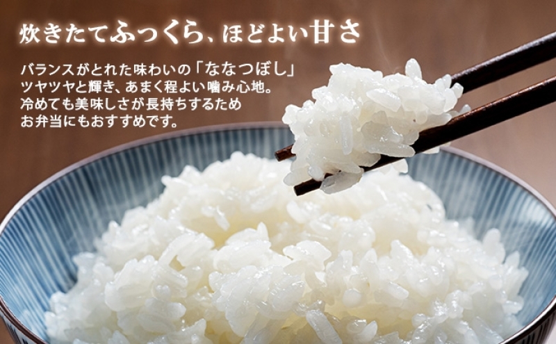 定期便 隔月3回 北海道産 ななつぼし 精米 20kg 5kg×4袋 米 新米 特A 白米 お取り寄せ ごはん 道産米 ブランド米 まとめ買い お米 ホクレン 北海道 倶知安町 【定期便・お米・ななつぼし・精米】