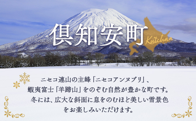 北海道倶知安町　日本旅行　地域限定旅行クーポン30,000円分 ツアー 宿泊 旅行 交通 5年 トラベル 宿泊券 チケット スキー スノボ 旅行券 観光 北海道 旅行 ニセコ 倶知安町 