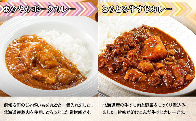 北海道 倶知安 カレー 4種 食べ比べ 各3個 計12個 中辛 スープカレー ビーフカレー ポークカレー 牛すじカレー じゃがいも 牛肉 豚肉 鶏 チキン 業務用 レトルトカレー 