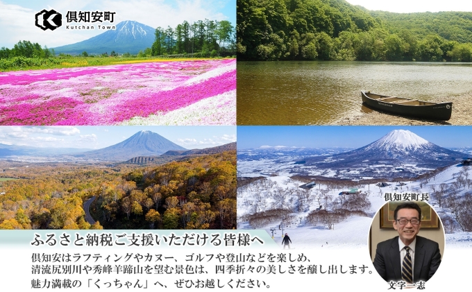 無地熨斗 北海道 倶知安 チキンレッグスープカレー 300g 20個 中辛 レトルト 食品 加工品 時短 チキン スープ カレー 詰め合わせ 野菜 【お肉・加工食品】 