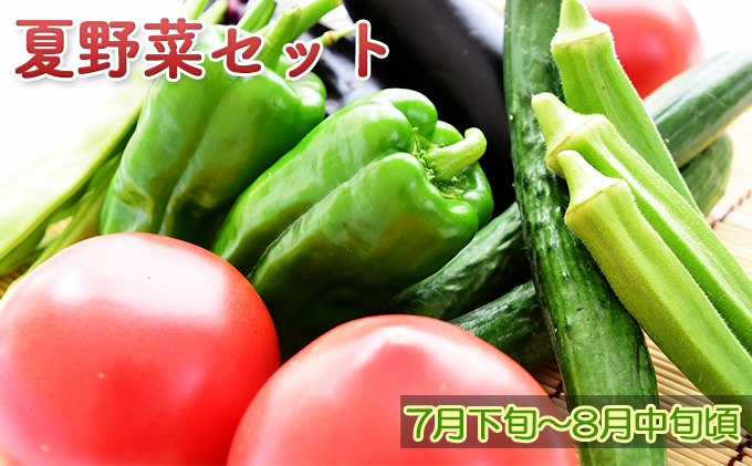 【ニセコファーム】定期便 新鮮 野菜便り 北海道 倶知安町 新鮮 採れたて とうもろこし 夏野菜 じゃがいも 玉ねぎ
