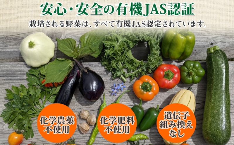 北海道 有機栽培 ミニトマト＆スイートバジル 約1kg 詰め合わせ プチトマト トマト バジル オーガニック 有機野菜 JAS 産直 産地直送 ニセコグリーンファーム