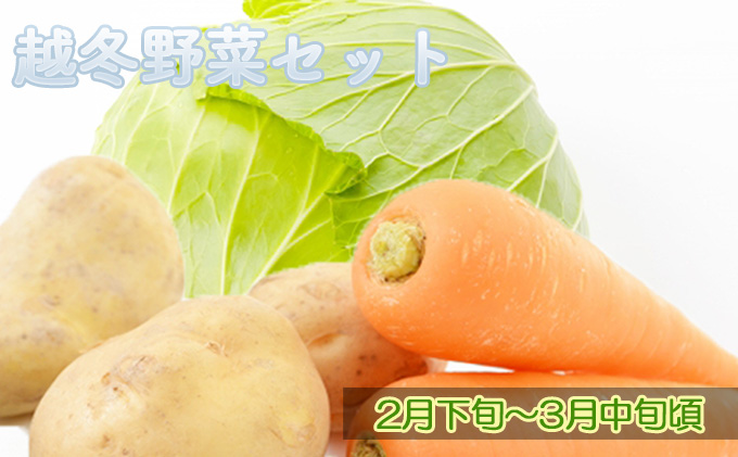 【ニセコファーム】定期便 新鮮 野菜便り 北海道 倶知安町 新鮮 採れたて とうもろこし 夏野菜 じゃがいも 玉ねぎ