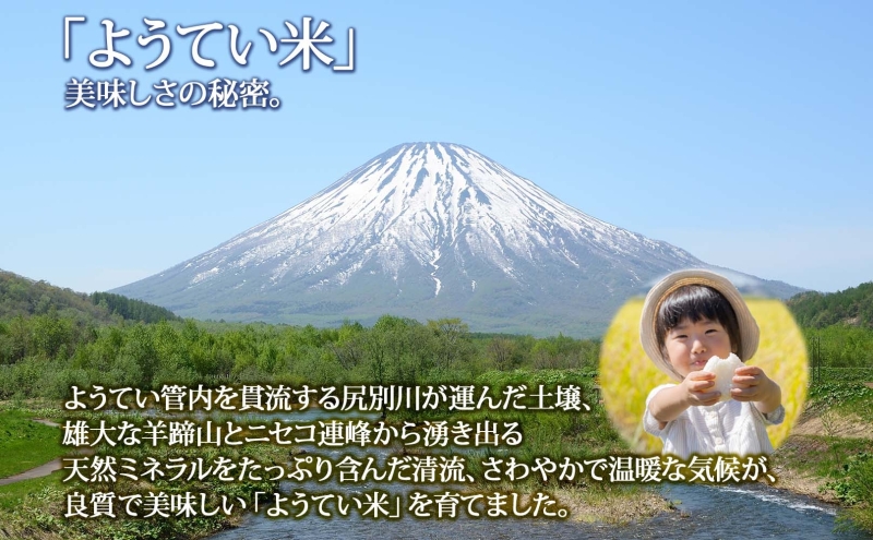 北海道産 ゆめぴりか ななつぼし 食べ比べ 精米 各5kg 計10kg お米 米 白米 ブランド米 ご飯 ごはん おにぎり 産直 JAようてい 送料無料 北海道 倶知安町 お弁当 和食 主食 直送 産地直送 