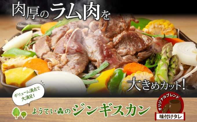 ようてい森のバーベキューセット ジンギスカン 300g 味付鶏もも肉 300g 計600g 詰め合わせ 羊 グルメ 鶏 モモ BBQ ラム お取り寄せ 小分け タレ付 お肉 羊肉 