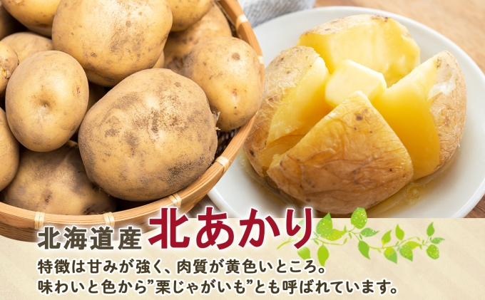 北海道産 道塚農園 じゃがいも 北あかり 計10kg前後 L-LLサイズ ジャガイモ きたあかり キタアカリ 馬鈴薯 芋 いも イモ 農作物 野菜 産地直送