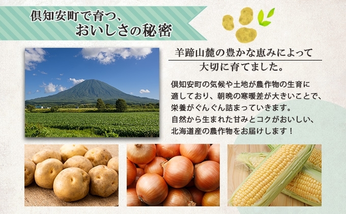 北海道産 道塚農園 じゃがいも 北あかり 計10kg前後 L-LLサイズ ジャガイモ きたあかり キタアカリ 馬鈴薯 芋 いも イモ 農作物 野菜 産地直送