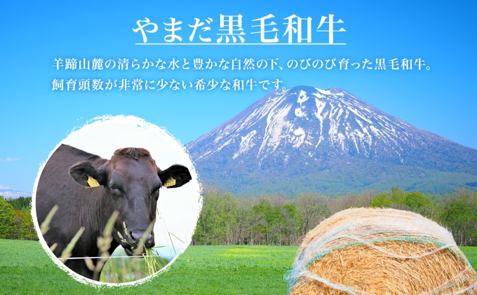 北海道 倶知安町 やまだ黒毛和牛 計400g すき焼き 用 ウデ モモ バラ ミックス 200g×2 黒毛和牛 国産牛 お取り寄せ ご褒美 和牛 すきやき A4ランク 羊蹄山 送料無料 冷凍 ニセコファーム しりべしや