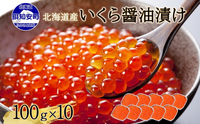 北海道産 いくら醤油漬け 100g×10パック 計1kg 小分け パック イクラ