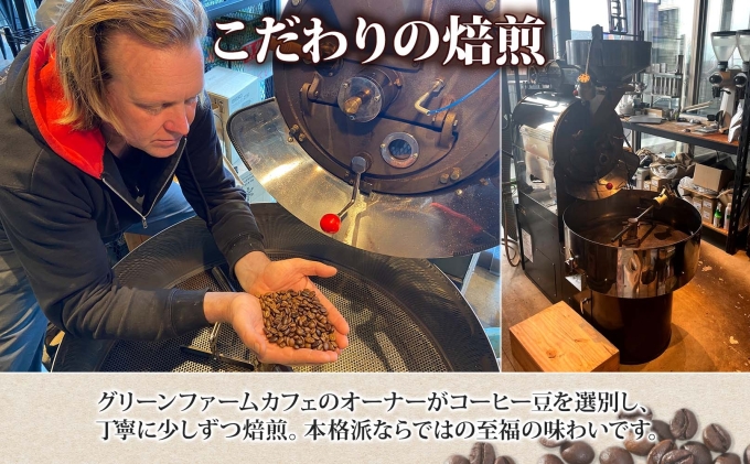 ブラウンベア コーヒー 豆 200g ダークロースト 珈琲 専門店 ドリップコーヒー 豆 小分け 自家焙煎 ミディアムダーク焙煎 グリーンファームカフェ Coffee 中深煎り 送料無料 挽きたてコーヒー 