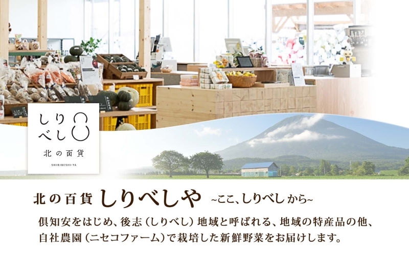 北海道 ゆきだるま ジンギスカン 200g×3袋 計600g ラム 羊肉 ラムロース お肉 自家製 特製たれ たれ タレ 小分け 北の百貨 しりべしや 送料無料 北海道 倶知安町