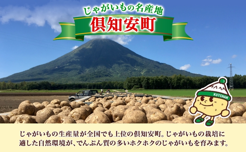 北海道産 じゃがいも 男爵 5kg 規格外 訳あり S-3L サイズ混合 新じゃが 芋 ジャガイモ いも 新鮮 野菜 農作物 お取り寄せ 男しゃく 馬鈴薯 ニセコファーム 送料無料 北海道 倶知安町 