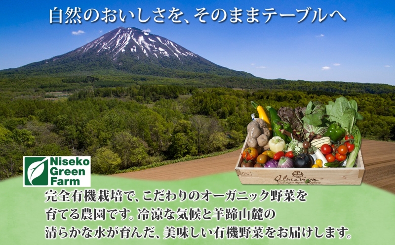 北海道 定期便 3ヵ月連続3回 北海道 有機栽培 ケール 1kg 乾燥フレーク付 オーガニック 有機野菜 緑黄色野菜 JAS 冷蔵 産直 産地直送 国産 ニセコグリーンファーム 送料無料 