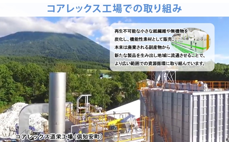 北海道 定期便 4ヶ月3回 日本ハムファイターズ ボックスティッシュ 200組 400枚 12パック 計60箱 リサイクル ティッシュ ペーパー 日本製 紙 日用品 雑貨 消耗品 備蓄 日ハム 送料無料