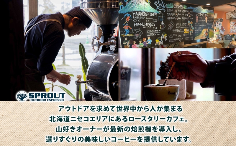 自家焙煎 オリジナル コーヒー 豆 1種 コーヒーバッグ 2種 セット 20杯 珈琲 オートルート 羊蹄山 ティーバッグ ドリップコーヒー 飲み比べ ブレンド 専門店 ギフト カフェ ニセコ SPROUT 北海道 俱知安町