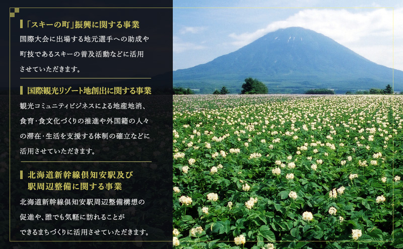 倶知安町 寄附のみの応援受付 1,000円コース（返礼品なし 寄附のみ 1000円）