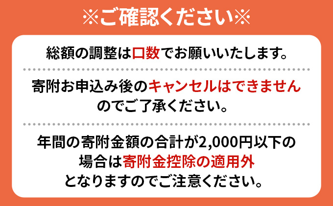 倶知安町 寄附のみの応援受付 5,000円コース（返礼品なし 寄附のみ 5000円）