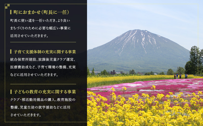 倶知安町 寄附のみの応援受付 60,000円コース（返礼品なし 寄附のみ 60000円）