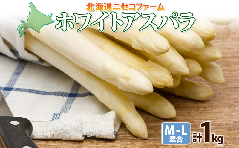 北海道産 アスパラガス ホワイト 約 1kg M - L サイズ 混合 アスパラ 旬 朝採り 新鮮 お取り寄せ 産地直送 産直 野菜 農作物 詰め合わせ 国産 北海道 倶知安町