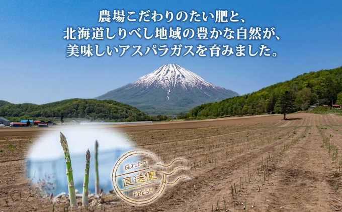 北海道産 グリーン アスパラガス 約1.8kg S - L サイズ混合 アスパラガス アスパラ 旬 朝採り 新鮮 お取り寄せ 産地直送 産直 野菜 農作物 詰め合わせ 国産 しりべしや ニセコファーム 北海道