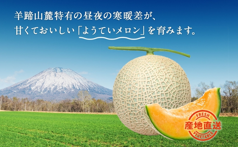 【 2025年発送 】先行予約 北海道 赤肉メロン 大玉 約2kg 1玉 メロン 赤肉 果物 フルーツ 甘い 完熟 スイーツ デザート 産直 国産 贈答品 お祝いギフト羊蹄山 JAようてい