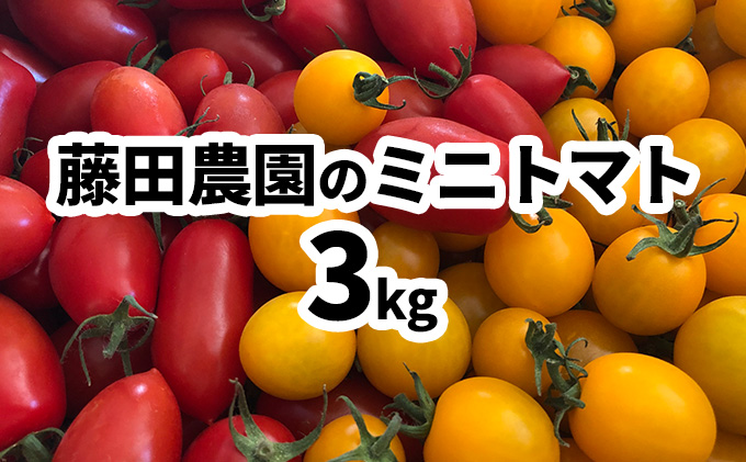 藤田農園のミニトマト食べ比べセット約3kg☆農園からのおすそ分け野菜付☆ ふるさとパレット ～東急グループのふるさと納税～
