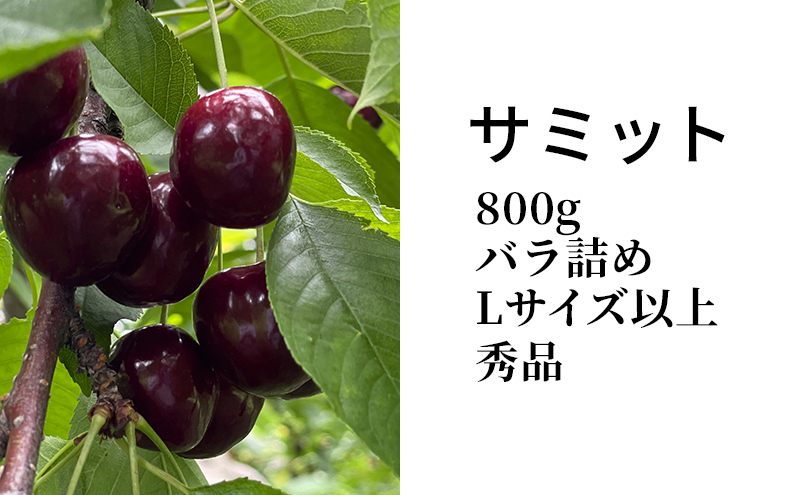  先行予約 北海道産 サミット800g バラ 秀品 Lサイズ以上 サクランボ   朝採り 当日発送