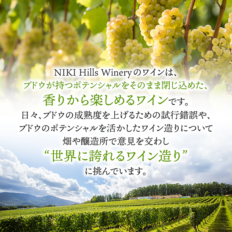 NIKI Hills Winery 白ワイン【 NEIRO 2023 Assemblage 】 750ml ワイン 洋酒