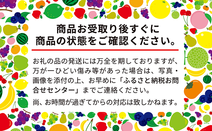 先行予約 2024年9月発送 北海道 仁木町産「赤と白の いちご セット」(M30粒) 今野農園