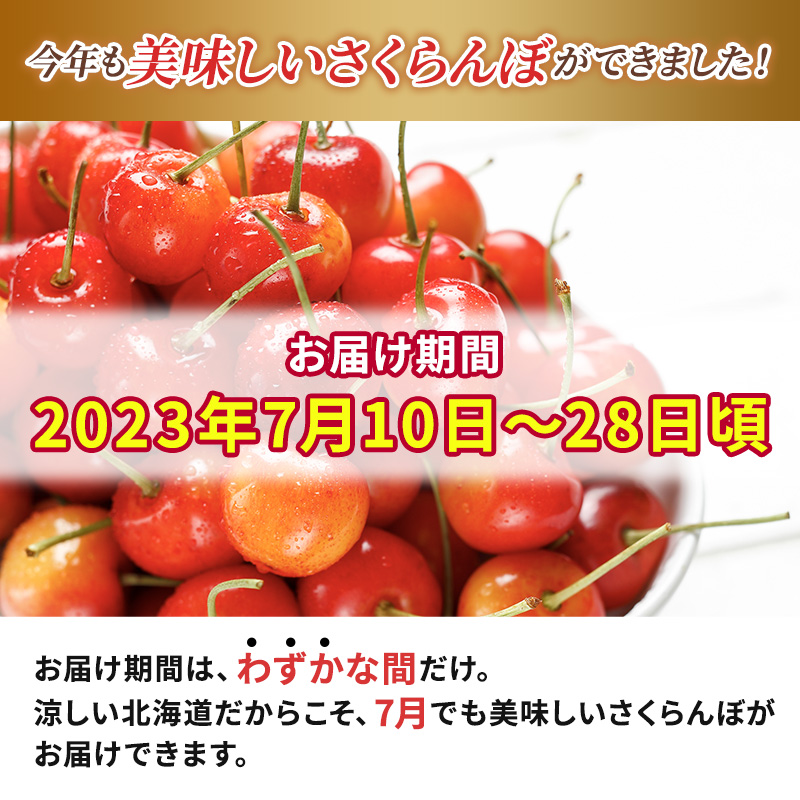 松の実3kgです2023年 北海道 で収穫した 松の実3kg - 野菜