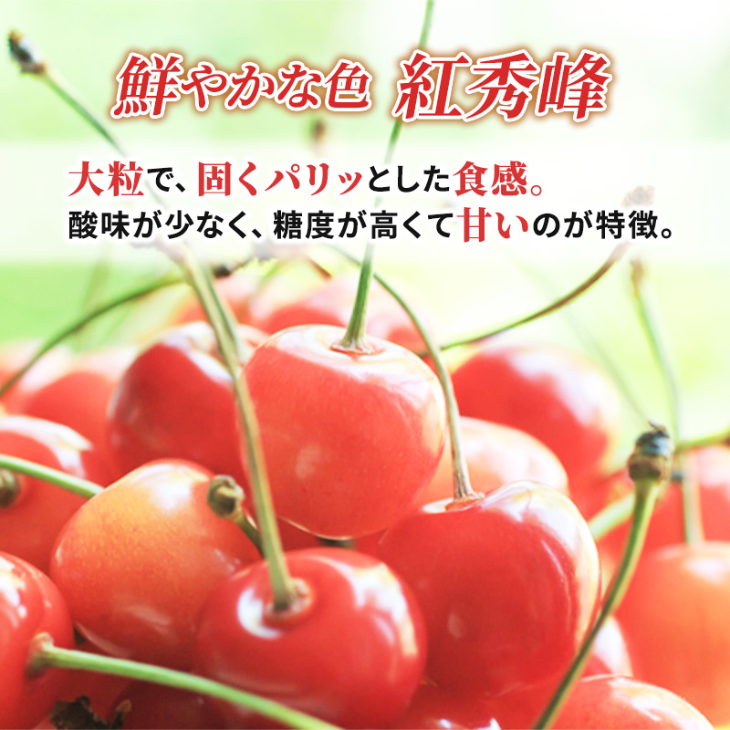 松の実3kgです2023年 北海道 で収穫した 松の実3kg - 野菜