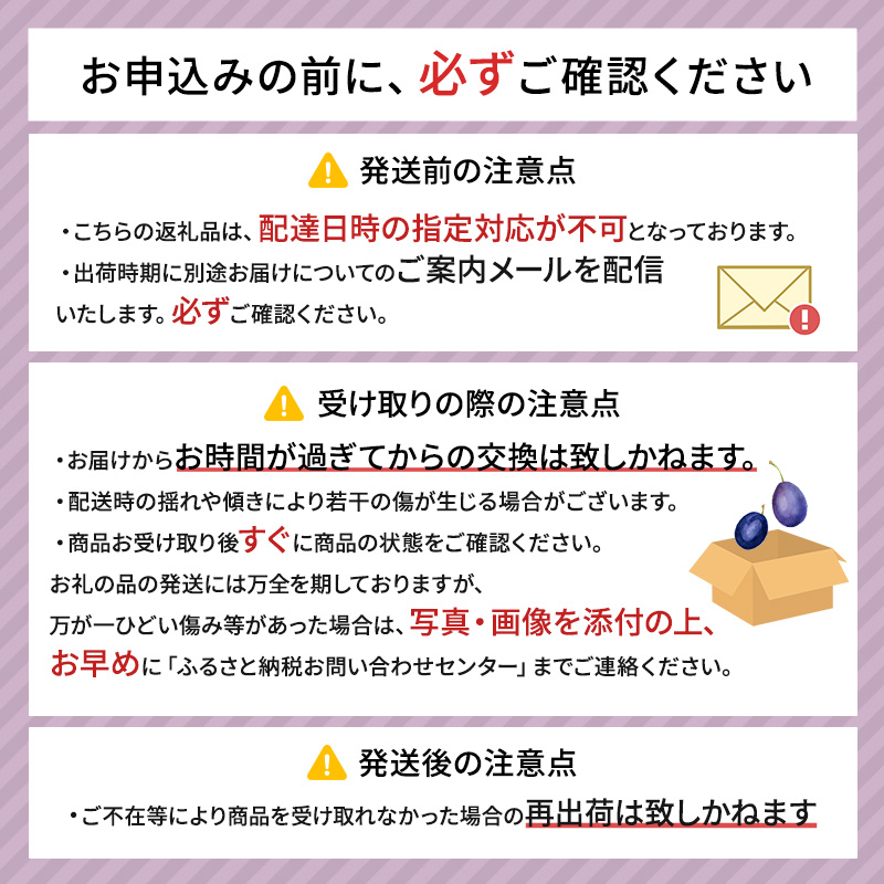 先行予約  峠のふもと紅果園 ◆2024年9月お届け◆北海道 仁木産 フレッシュ プルーン 約2kg 品種 おまかせ