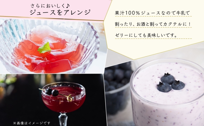 オーガニック 有機 キャンベル ブルーベリー ジュース 飲み比べ 710ml 2本 群青の瞳 ぶどう 紺碧の恋 果汁 100％ お取り寄せ ギフト セット 北海道 仁木町