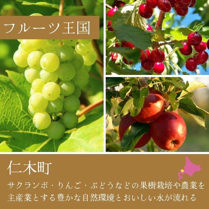 【北海道産ワイン】 限定スパークリングワイン KP”Beginning