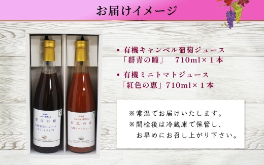 【先行受付】オーガニック 有機 キャンベル ブドウ ミニトマト アイコ ジュース 飲み比べ 710ml 2本 群青の瞳 ぶどう 紅色の恵 果汁 100％ お取り寄せ 北海道 仁木町