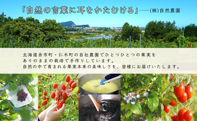 無地熨斗 北海道産 ブルーベリージャム リンゴジャム 食べ比べ 180g 4個 詰め合わせ りんご 林檎 自然農園 贈り物 産地直送 北海道 仁木町