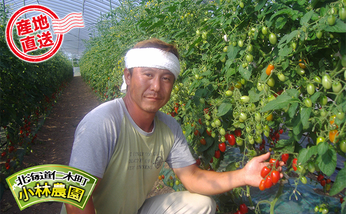 24箱 小林農園 完熟トマト チキンレッグ 丸ごと スープカレー 300g 北海道 仁木町