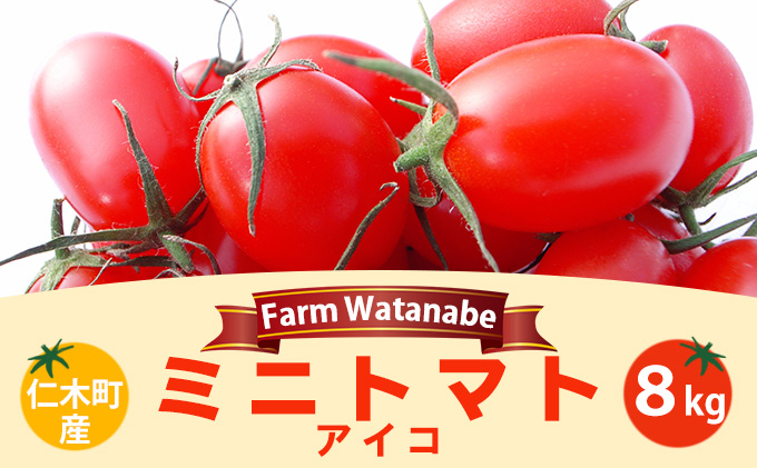 ミニトマト ８ｋｇ - 野菜
