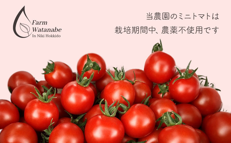 ミニトマト ジュース（北海道 仁木町産 ミニトマト 100％）180ml×10本 ～ 無塩 無糖 保存料無添加