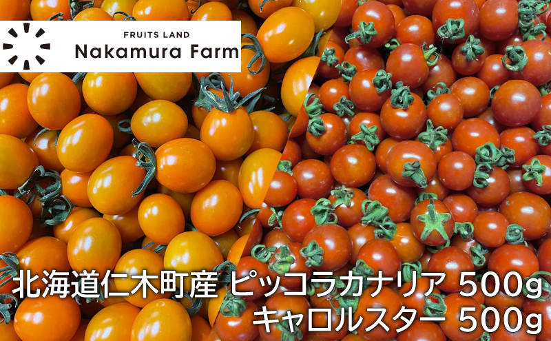 野菜ソムリエサミット金賞・銀賞] ミニトマト 詰め合わせ 1kg ピッコラ