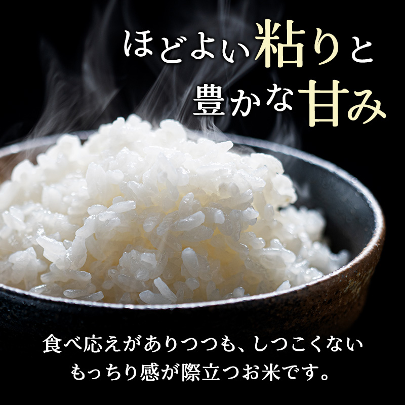 米 定期便 5kg 3ケ月 ゆめぴりか ホクレンゆめぴりか 精米 ANA機内食採用