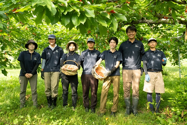  先行予約 北海道産 サミット800g バラ 秀品 Lサイズ以上 サクランボ   朝採り 当日発送