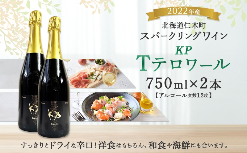 北海道産 スパークリング ワイン 750ml 2本 KPワイン Tテロワール ぶどう ナイアガラ 葡萄 ブドウ 白ワイン 辛口 酒 お酒 贈答 贈り物 お祝い ギフト 記念日 送料無料