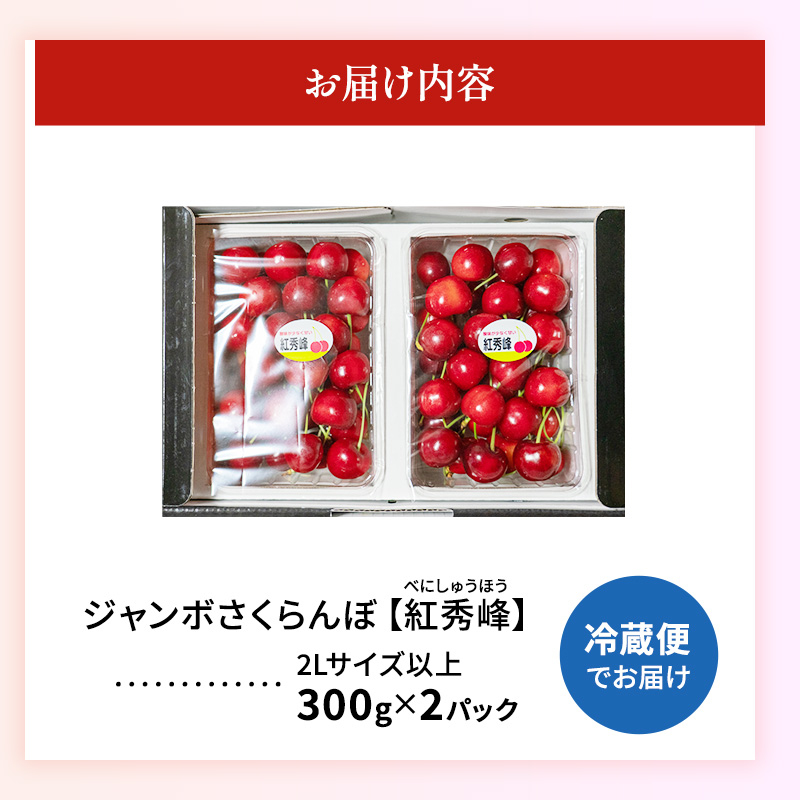 北海道 仁木町産「匠」ジャンボサイズ さくらんぼ 【 紅秀峰 】300g×2 嶋田茂農園