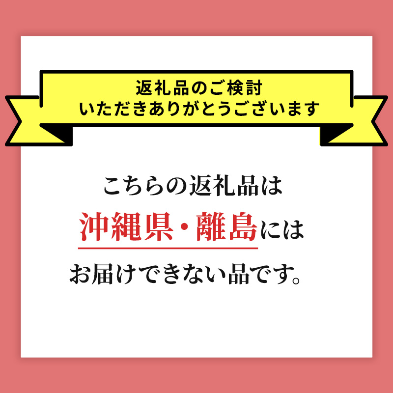 北海道 仁木町産 さくらんぼ 佐藤錦 300g×2P Lサイズ  サクランボ 果物 フルーツ チェリー 